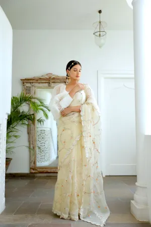 Aarti Sethia Studio    I   Ivory Hand embroidered Jaal Saree Set