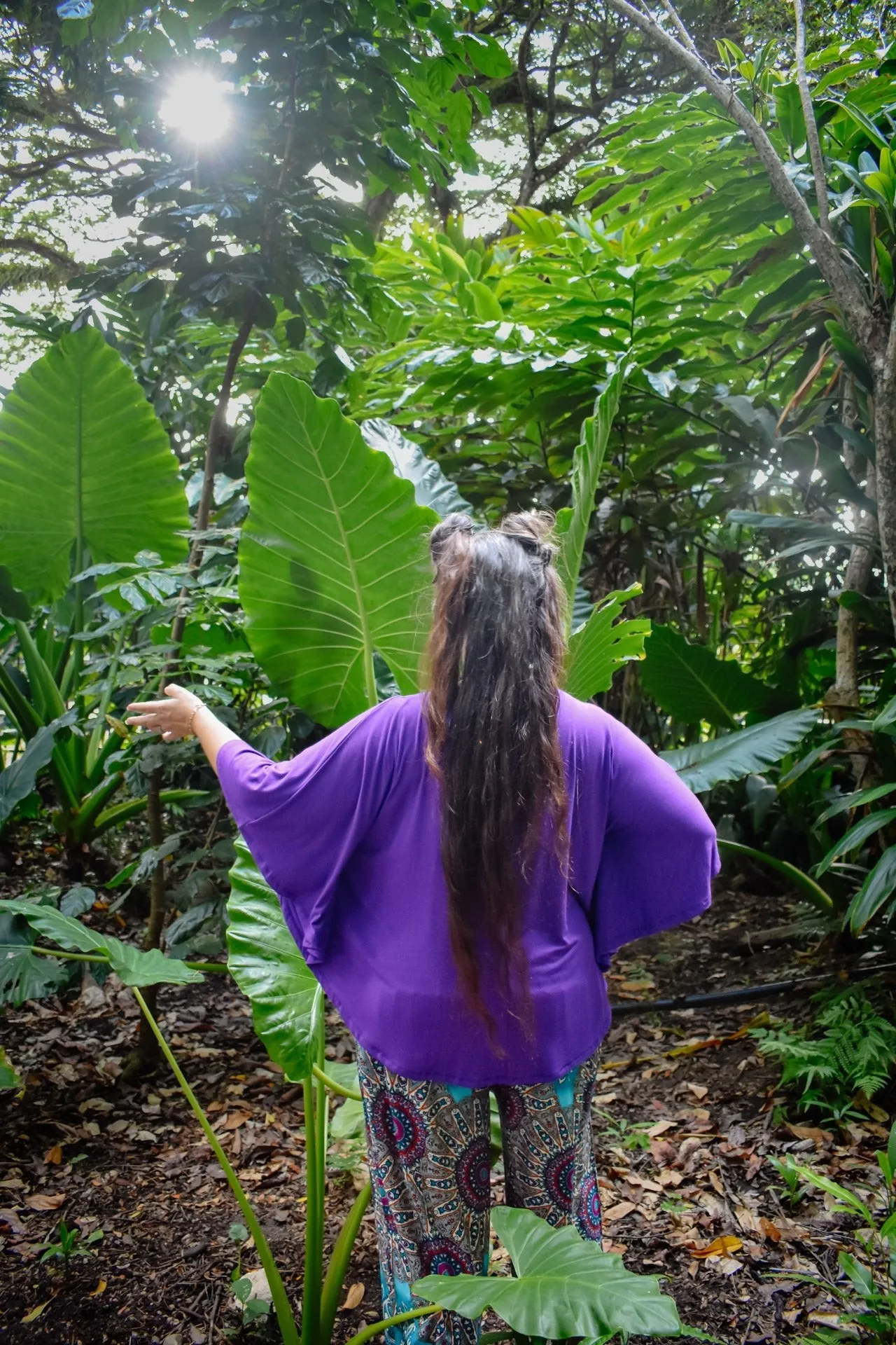 Avalon Batwing Top - Purple