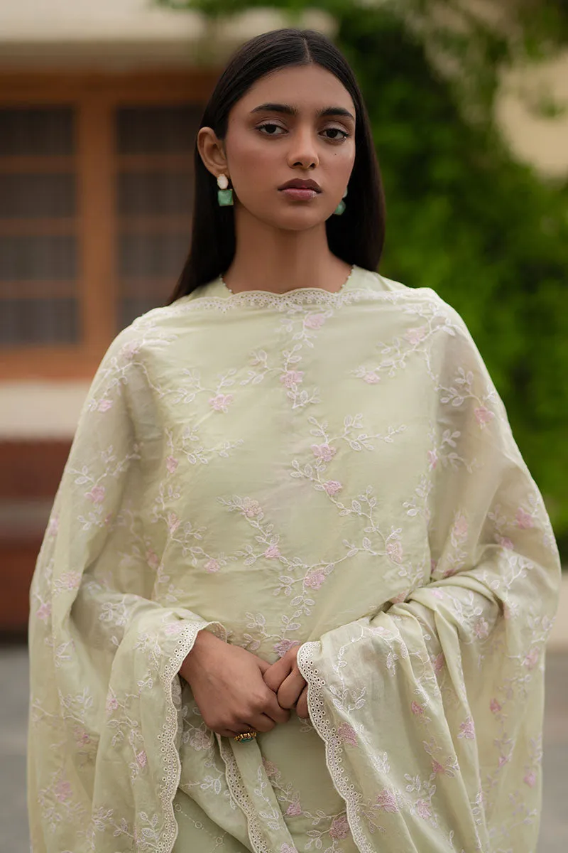 CANARY GREEN- 3PC EMBROIDERED LAWN SUIT