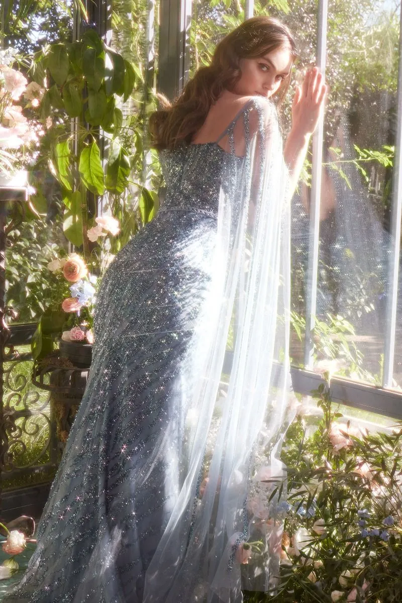 Cinderella Divine- A1370