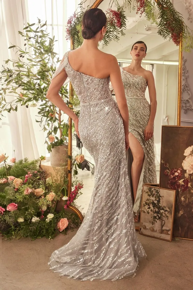 Cinderella Divine- A1370