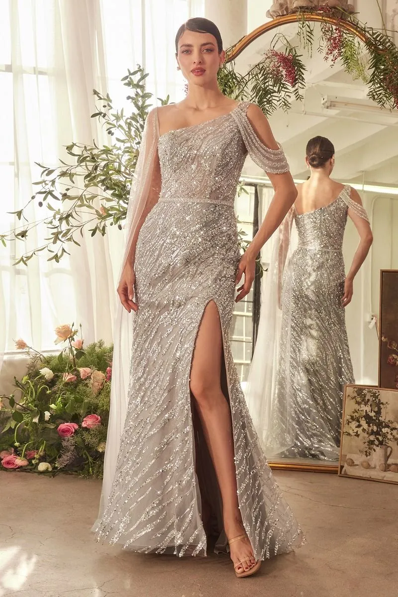 Cinderella Divine- A1370