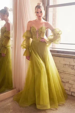 Exquisite Embroidered Tulle Gown With Sleeves