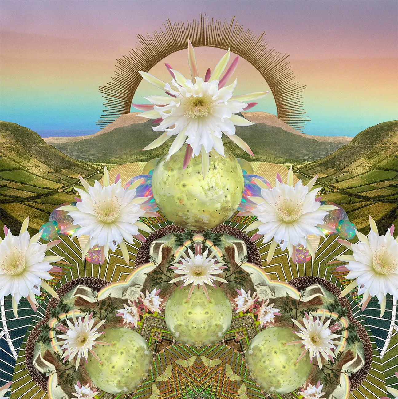 FORTUNE FULFILLMENT // Telluric Bloom Yoga Mat