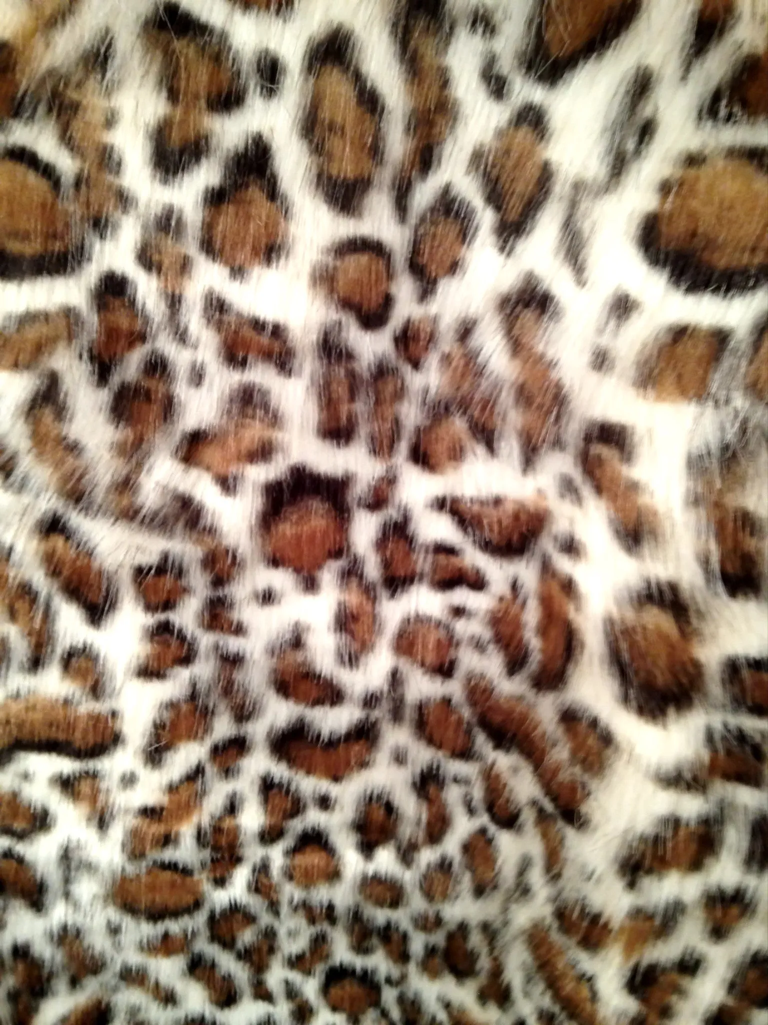 Fur Kitty Hat