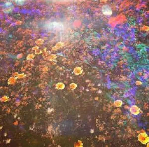 Garden Flowers Unframed Wall Art 11"x17"