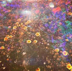 Garden Flowers Unframed Wall Art 11"x17"