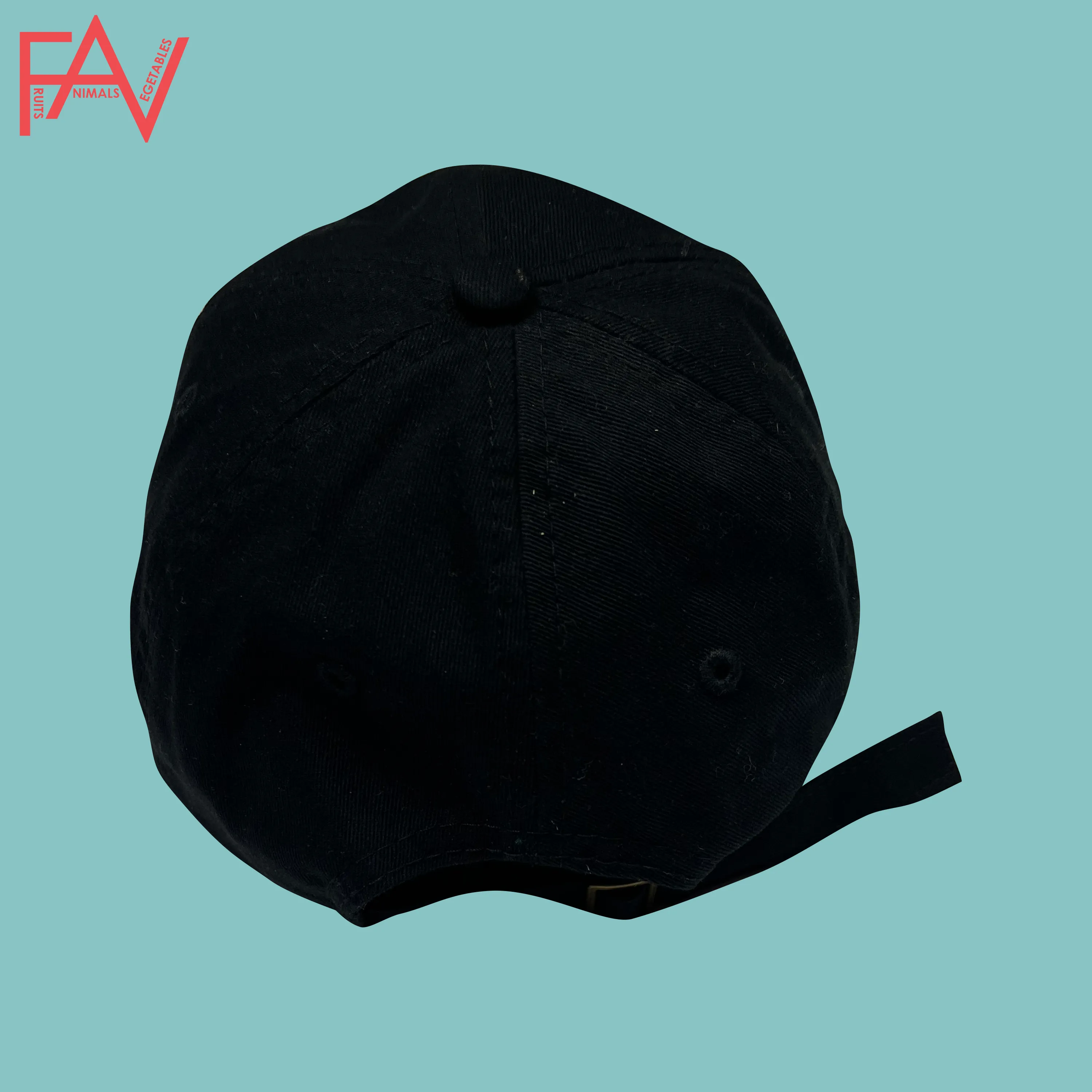 Killer Whale - Black Dad Hat