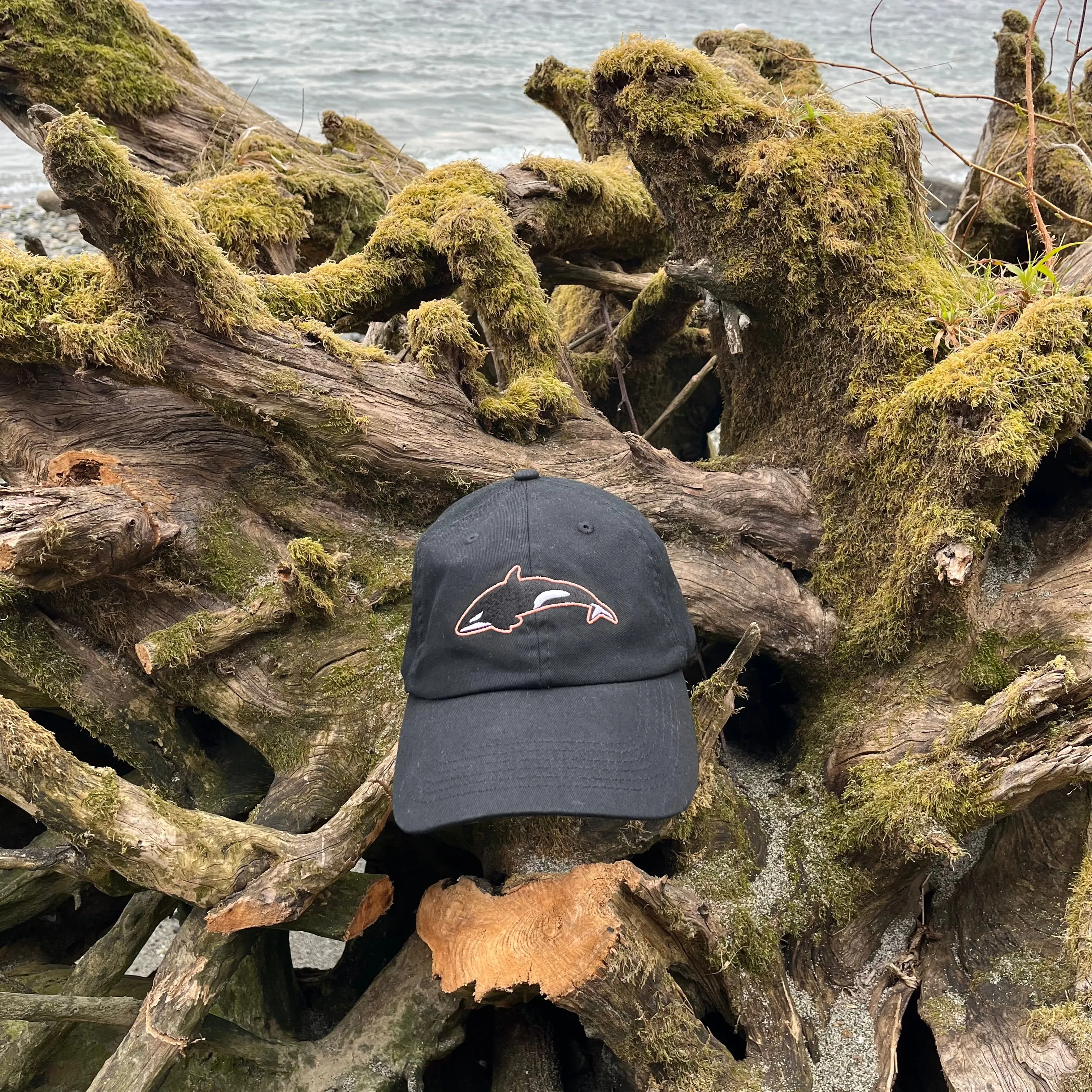 Killer Whale - Black Dad Hat