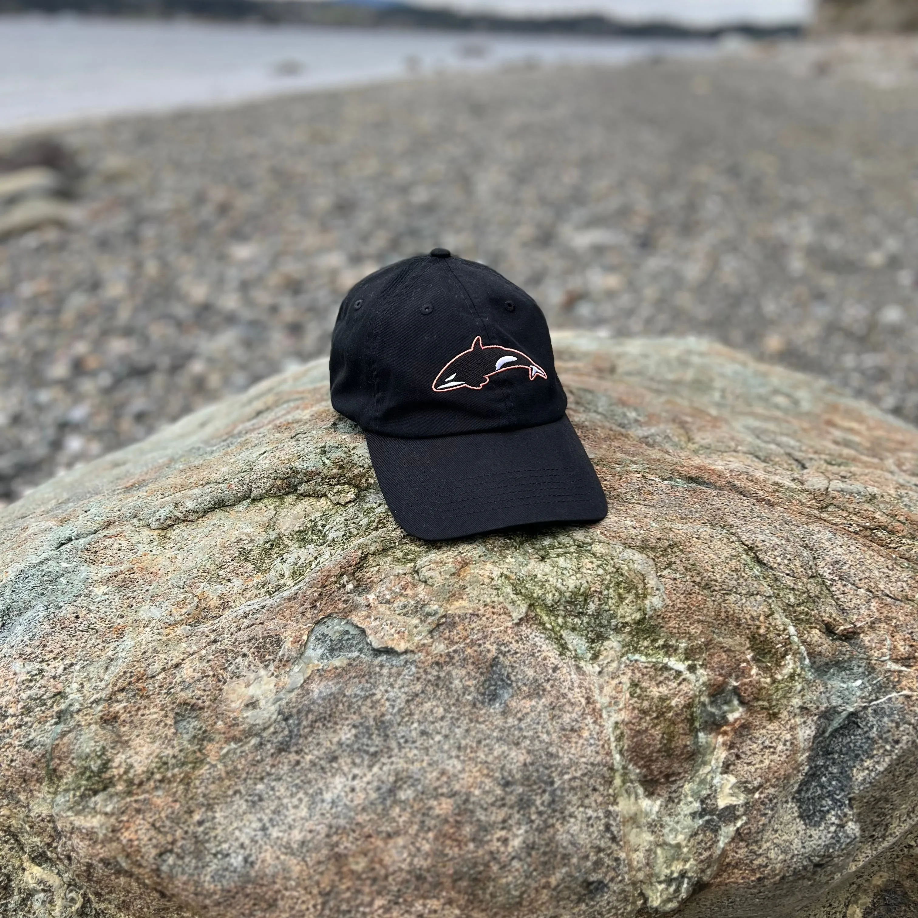 Killer Whale - Black Dad Hat