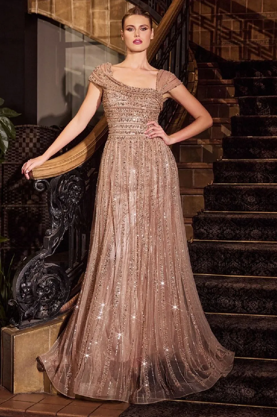 LaDivine by Cinderella Divine Evening Gown CD0238