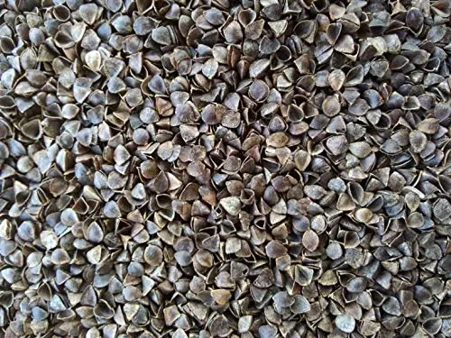 NutriBuck™ | Meditation | Yoga | Cushion | (Zabuton Mat) | Filled with Buckwheat Hulls (Orange)