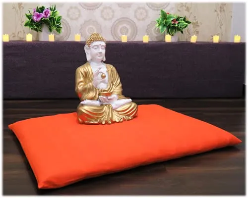 NutriBuck™ | Meditation | Yoga | Cushion | (Zabuton Mat) | Filled with Buckwheat Hulls (Orange)