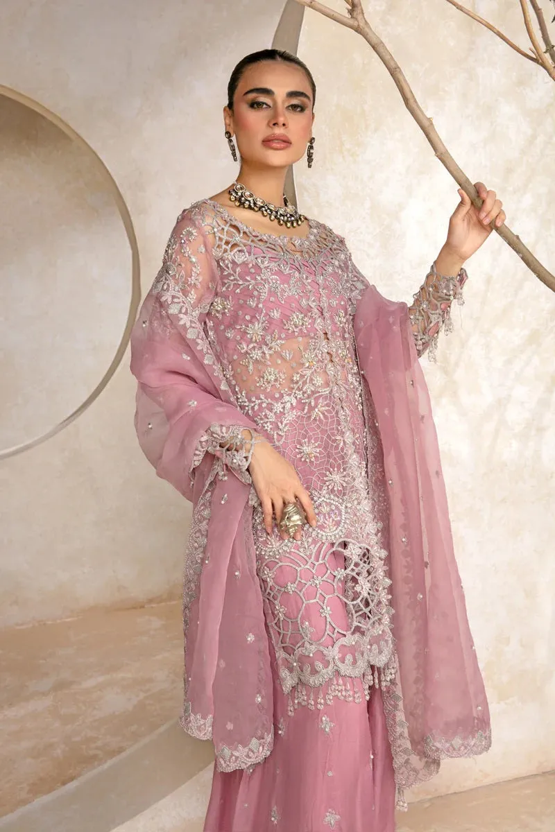 Rang Rasiya Luxury Wedding Festive Organza Embroidered Collection D-05 NATASHA