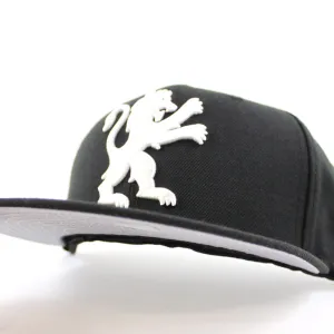 Sacramento Kings New Era 59Fifty Fitted Hat (Black Gray Under Brim)-1