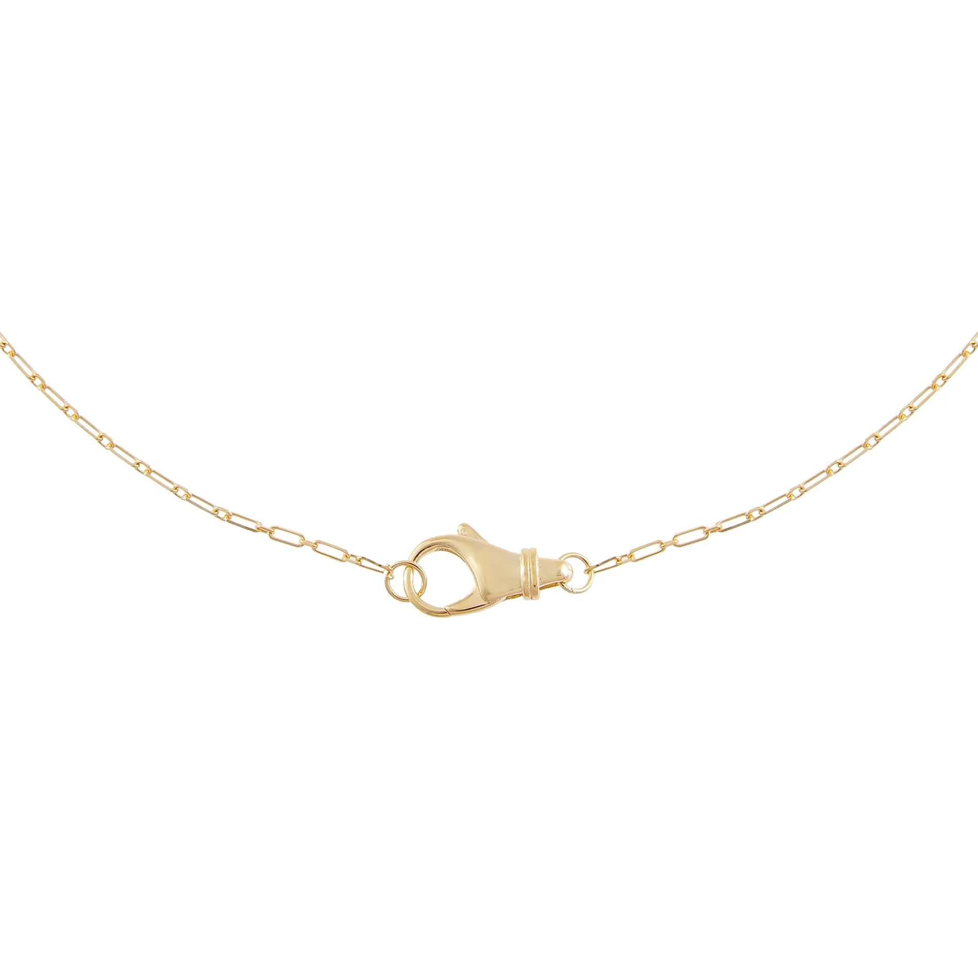 Small Clasp Link Necklace