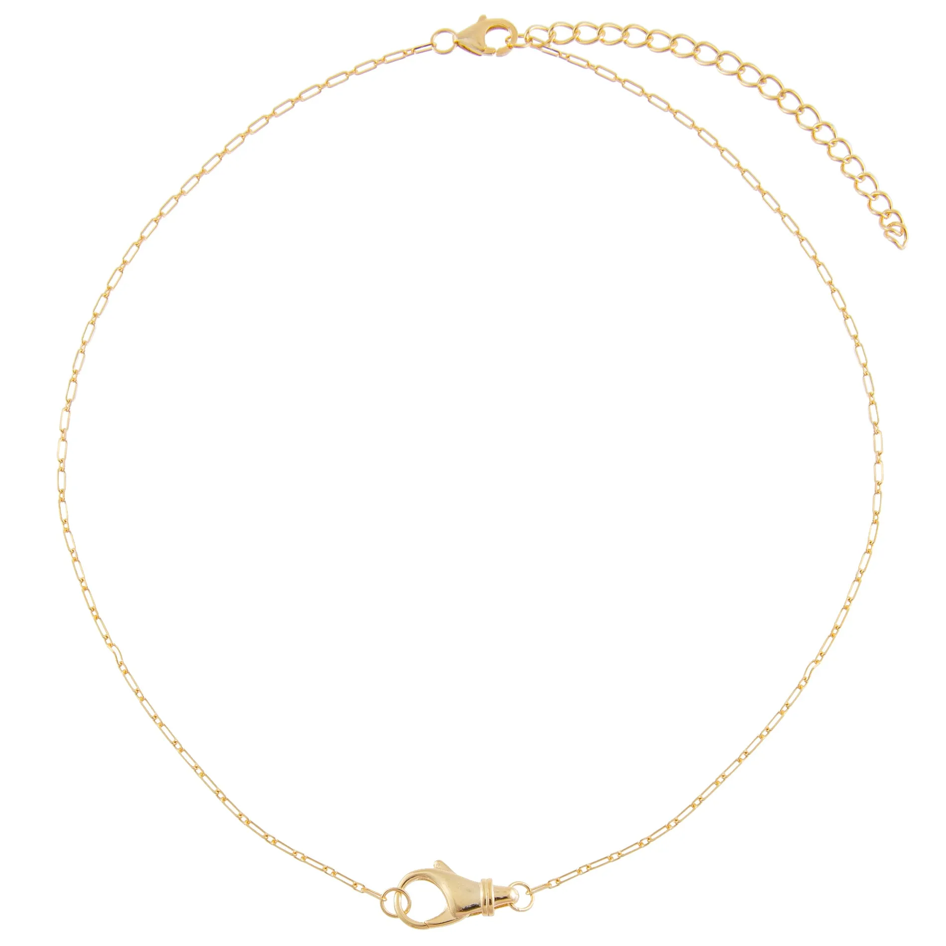Small Clasp Link Necklace