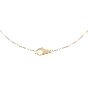 Small Clasp Link Necklace