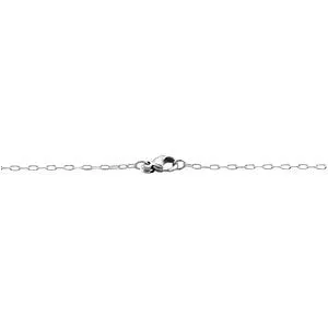 Sterling Silver Circle Link Fashion Necklace