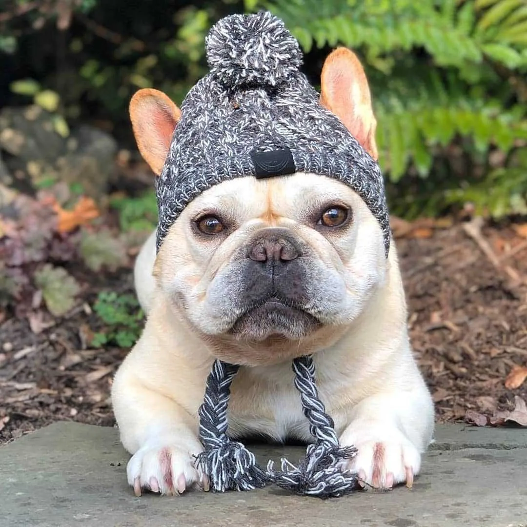 Winter Warm Dog Hats Windproof Knitting French Bulldog and small Doggies