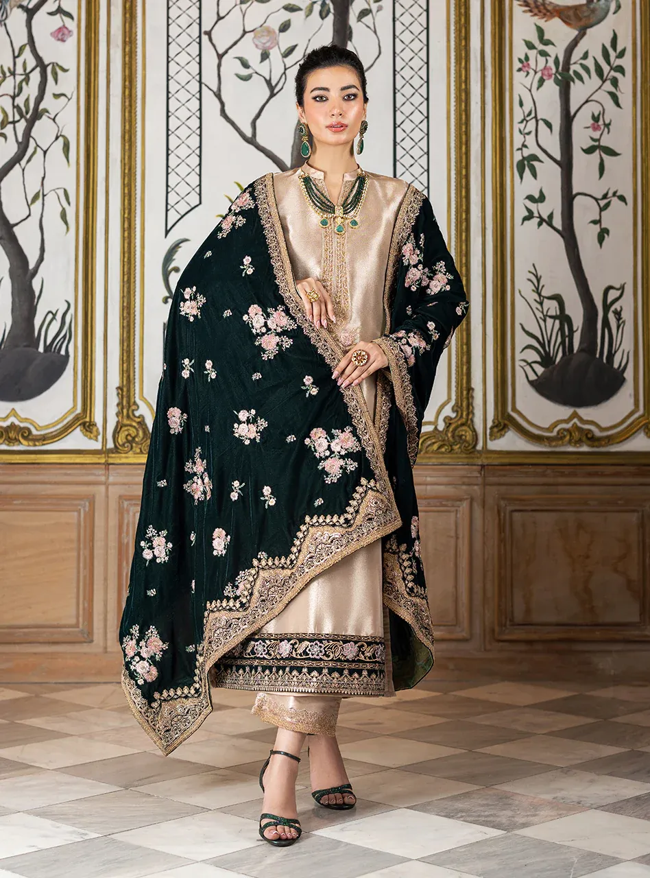 Zainab Chottani Embroidered Unstitched D-03 SARWANA mysori tissue  With Velvet Embroidered Shawl