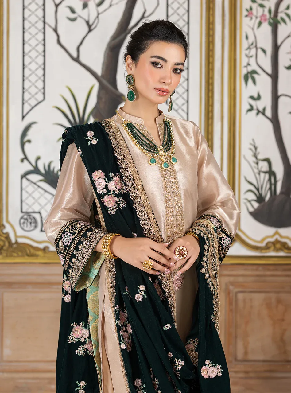 Zainab Chottani Embroidered Unstitched D-03 SARWANA mysori tissue  With Velvet Embroidered Shawl
